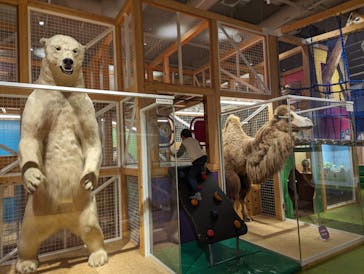 国立科学博物館に投稿された画像（2024/1/31）