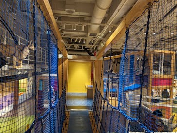 国立科学博物館に投稿された画像（2024/1/31）