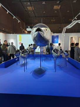 特別展「和食 ～日本の自然、人々の知恵～」に投稿された画像（2024/1/31）