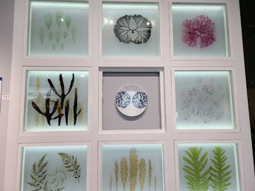 特別展「和食 ～日本の自然、人々の知恵～」に投稿された画像（2024/1/31）