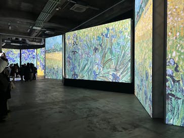 ゴッホ・アライブに投稿された画像（2024/1/31）