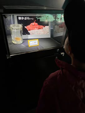 サンシャイン水族館に投稿された画像（2024/1/31）