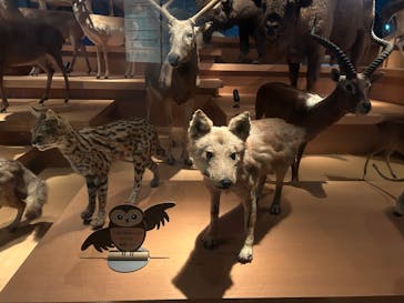 国立科学博物館に投稿された画像（2024/1/31）