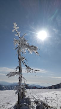 苗場スキー場に投稿された画像（2024/1/31）
