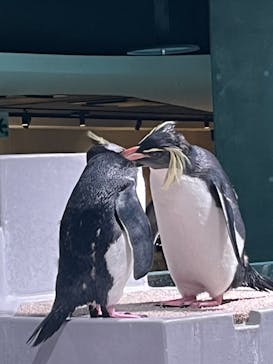 AOAO SAPPOROに投稿された画像（2024/1/31）