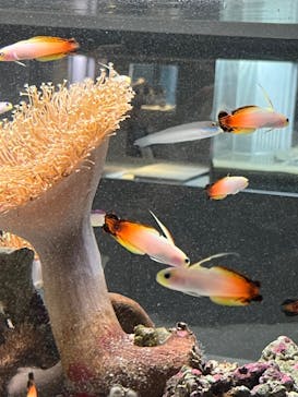 AOAO SAPPOROに投稿された画像（2024/1/31）