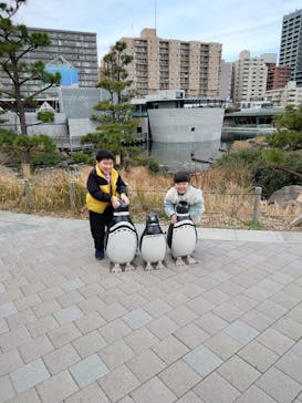 しながわ水族館に投稿された画像（2024/1/31）
