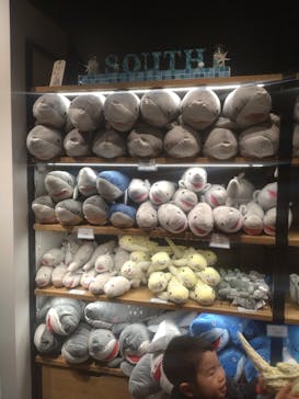 マクセル アクアパーク品川に投稿された画像（2024/1/31）