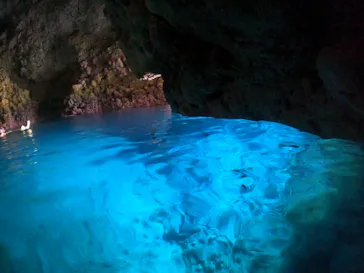 武藤潜水に投稿された画像（2024/1/31）