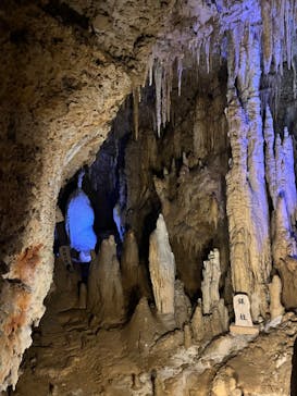 おきなわワールドに投稿された画像（2024/1/31）