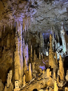 おきなわワールドに投稿された画像（2024/1/31）