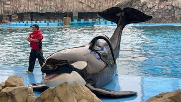 名古屋港水族館に投稿された画像（2024/1/31）