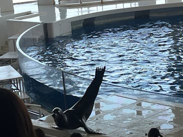 アクアワールド茨城県大洗水族館に投稿された画像（2024/1/31）