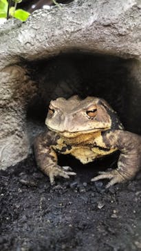 京都水族館に投稿された画像（2024/1/31）