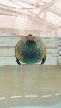 京都水族館に投稿された画像（2024/1/31）