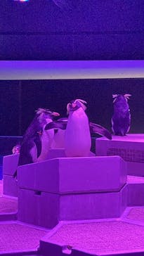 AOAO SAPPOROに投稿された画像（2024/1/31）