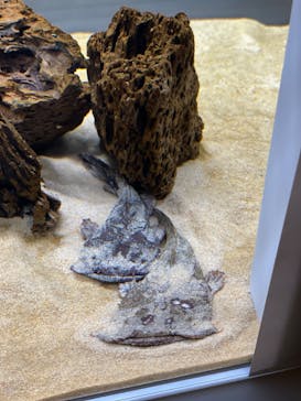 AOAO SAPPOROに投稿された画像（2024/1/31）