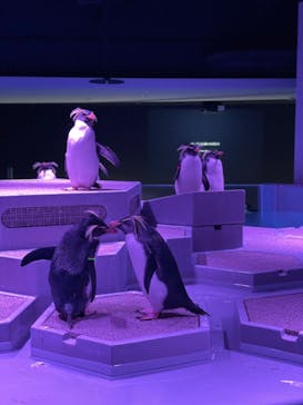 AOAO SAPPOROに投稿された画像（2024/1/31）