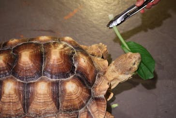 DMMかりゆし水族館に投稿された画像（2024/1/31）