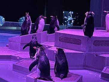 AOAO SAPPOROに投稿された画像（2024/1/31）