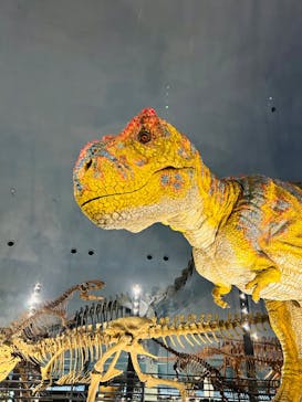 福井県立恐竜博物館に投稿された画像（2024/1/31）