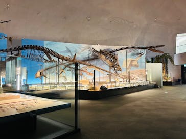 福井県立恐竜博物館に投稿された画像（2024/1/31）