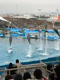 名古屋港水族館に投稿された画像（2024/1/31）