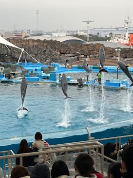名古屋港水族館に投稿された画像（2024/1/31）