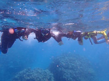 石垣島 ADVENTURE PiPi（イシガキジマアドベンチャーピピ）に投稿された画像（2024/1/31）