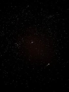 石垣島 ADVENTURE PiPi（イシガキジマアドベンチャーピピ）に投稿された画像（2024/1/31）