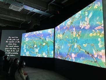 ゴッホ・アライブに投稿された画像（2024/1/31）