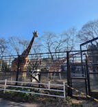 宇都宮動物園に投稿された画像（2024/1/30）