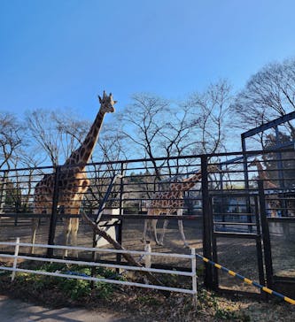 宇都宮動物園に投稿された画像（2024/1/30）
