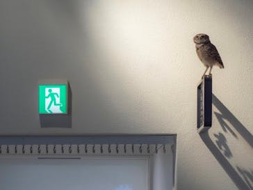 NIFREL（ニフレル）に投稿された画像（2024/1/31）