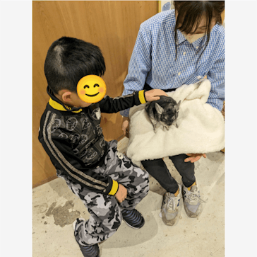 Moff animal cafe MARKIS 福岡ももち店に投稿された画像（2024/2/1）