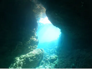 武藤潜水に投稿された画像（2024/2/1）