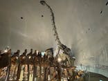 福井県立恐竜博物館に投稿された画像（2024/2/1）