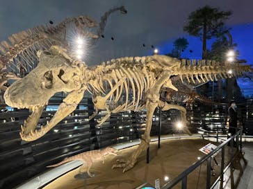 福井県立恐竜博物館に投稿された画像（2024/2/1）