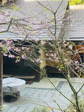 箱根湯本温泉 天成園に投稿された画像（2024/2/1）