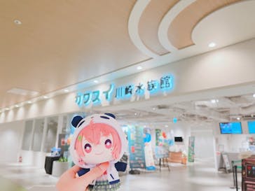 カワスイ 川崎⽔族館に投稿された画像（2024/2/1）