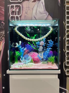 カワスイ 川崎⽔族館に投稿された画像（2024/2/1）