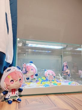 カワスイ 川崎⽔族館に投稿された画像（2024/2/1）