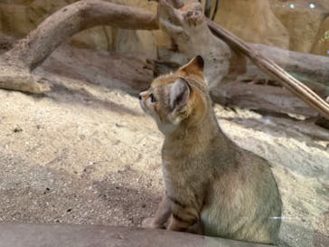 ネオパークオキナワに投稿された画像（2024/2/1）