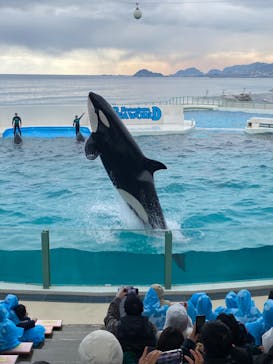 鴨川シーワールドに投稿された画像（2024/2/1）