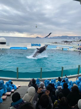 鴨川シーワールドに投稿された画像（2024/2/1）