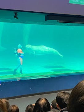 鴨川シーワールドに投稿された画像（2024/2/1）