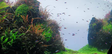 すみだ水族館に投稿された画像（2024/2/1）