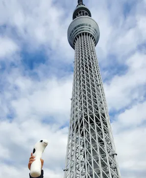 すみだ水族館に投稿された画像（2024/2/1）