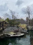 天王寺動物園に投稿された画像（2024/2/1）