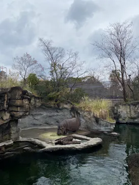 天王寺動物園に投稿された画像（2024/2/1）
